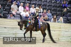 23R13_05917 thumbnail