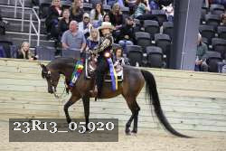 23R13_05920 thumbnail