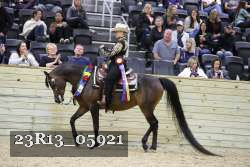 23R13_05921 thumbnail