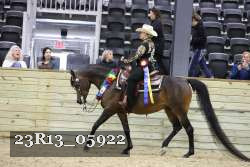 23R13_05922 thumbnail