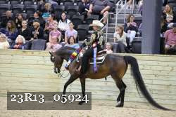 23R13_05924 thumbnail