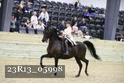 23R13_05998 thumbnail