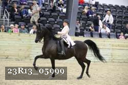 23R13_05999 thumbnail