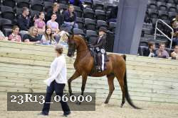 23R13_06000 thumbnail