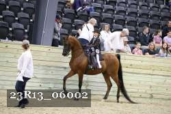 23R13_06002 thumbnail
