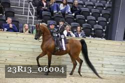 23R13_06004 thumbnail