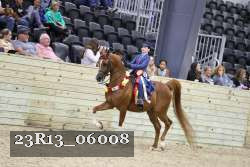 23R13_06008 thumbnail