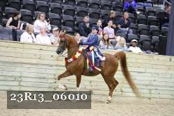 23R13_06010 thumbnail