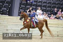 23R13_06011 thumbnail