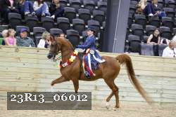 23R13_06012 thumbnail