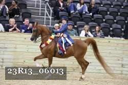 23R13_06013 thumbnail