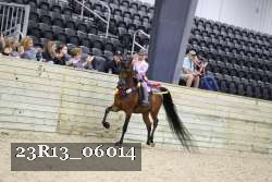 23R13_06014 thumbnail