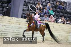 23R13_06016 thumbnail