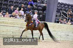 23R13_06017 thumbnail