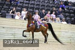 23R13_06018 thumbnail