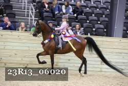 23R13_06020 thumbnail