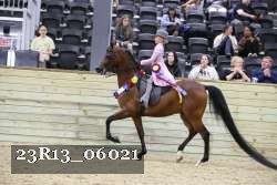 23R13_06021 thumbnail