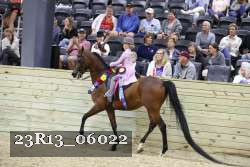 23R13_06022 thumbnail
