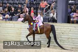 23R13_06023 thumbnail
