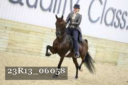 23R13_06058 thumbnail