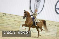 23R13_06067 thumbnail