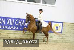 23R13_06072 thumbnail