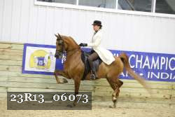 23R13_06073 thumbnail