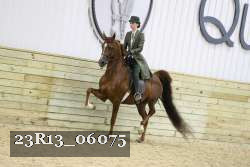 23R13_06075 thumbnail