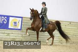 23R13_06076 thumbnail