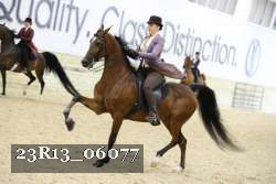23R13_06077 thumbnail