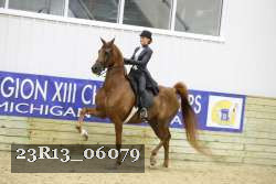 23R13_06079 thumbnail