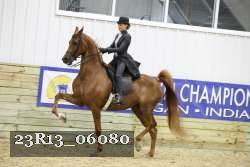 23R13_06080 thumbnail