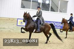23R13_06081 thumbnail