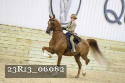 23R13_06082 thumbnail