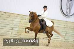 23R13_06084 thumbnail