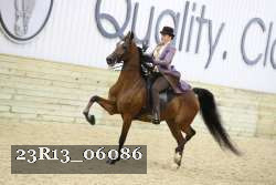 23R13_06086 thumbnail