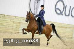 23R13_06088 thumbnail