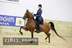 23R13_06089 thumbnail