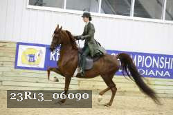 23R13_06090 thumbnail