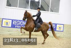 23R13_06091 thumbnail