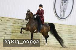 23R13_06092 thumbnail