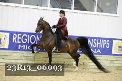 23R13_06093 thumbnail