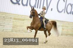 23R13_06094 thumbnail