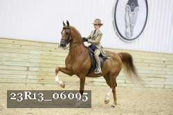 23R13_06095 thumbnail