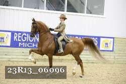 23R13_06096 thumbnail