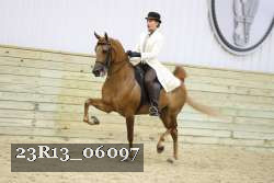 23R13_06097 thumbnail
