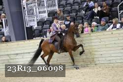 23R13_06098 thumbnail