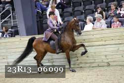 23R13_06099 thumbnail