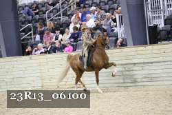 23R13_06100 thumbnail