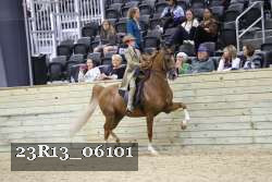 23R13_06101 thumbnail